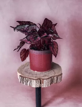 Etna Etna